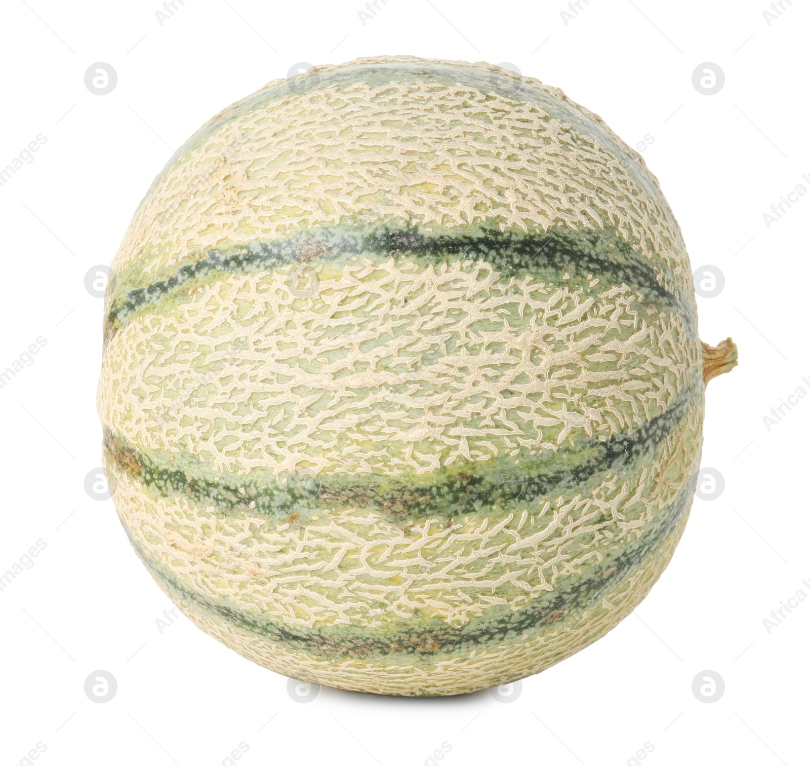 Photo of One whole Cantaloupe melon isolated on white