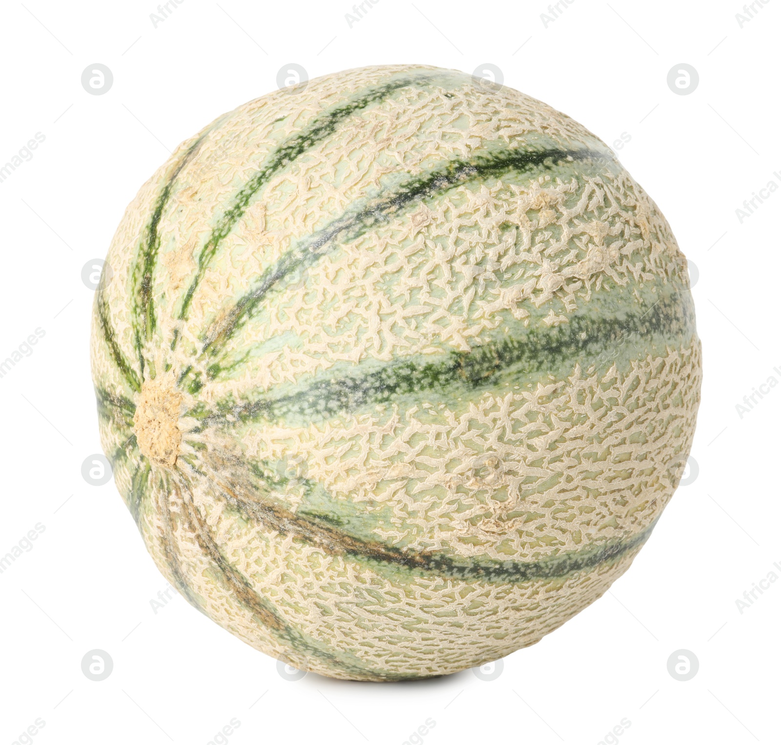 Photo of One whole Cantaloupe melon isolated on white