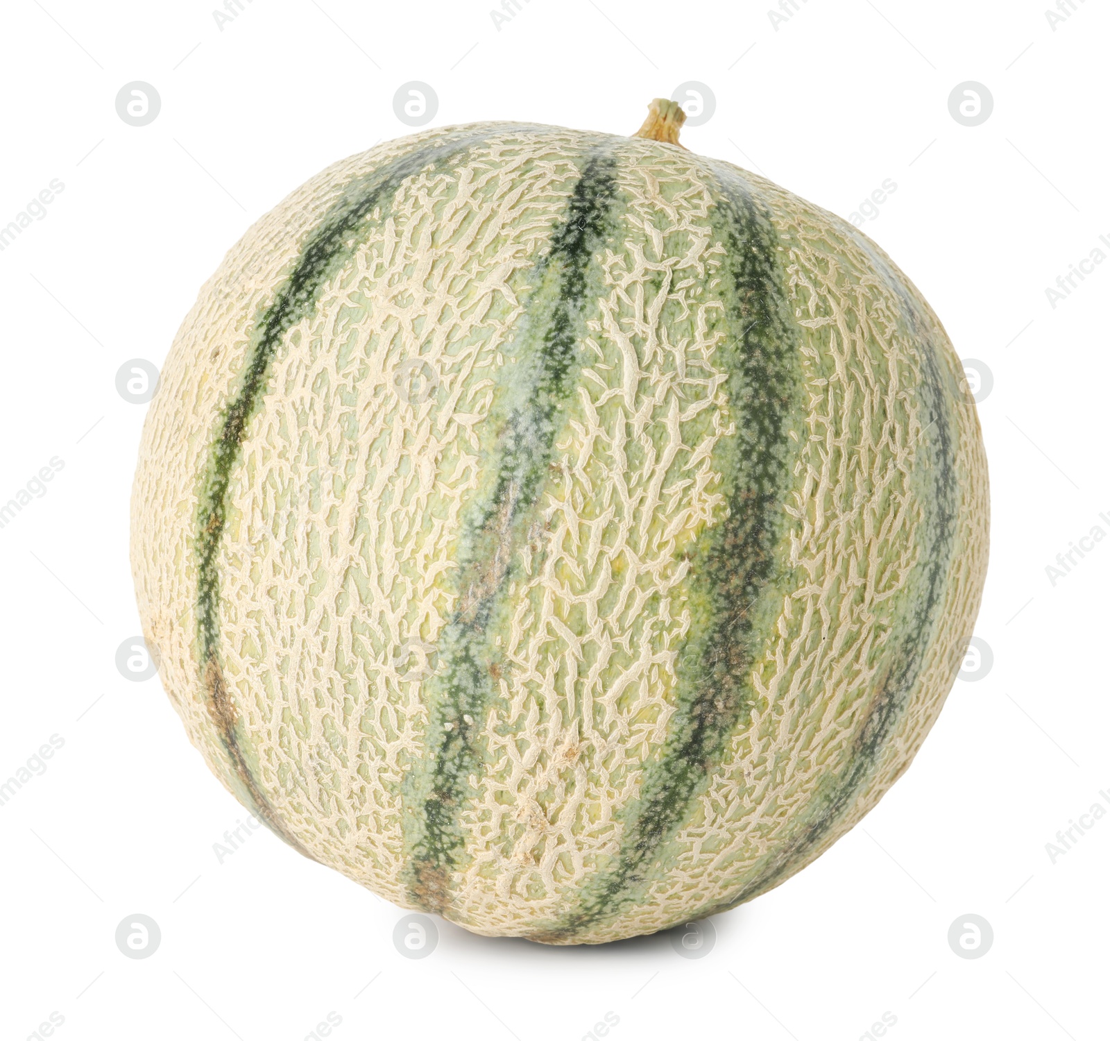 Photo of One whole Cantaloupe melon isolated on white