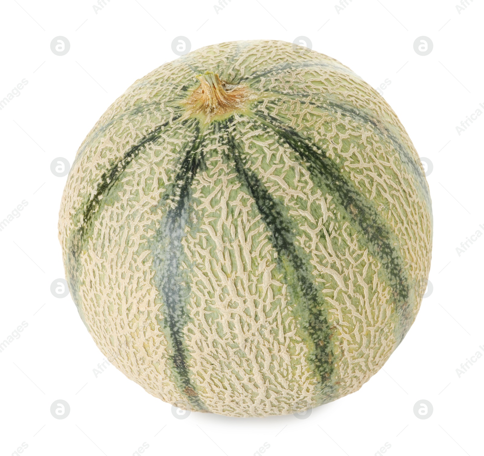 Photo of One whole Cantaloupe melon isolated on white