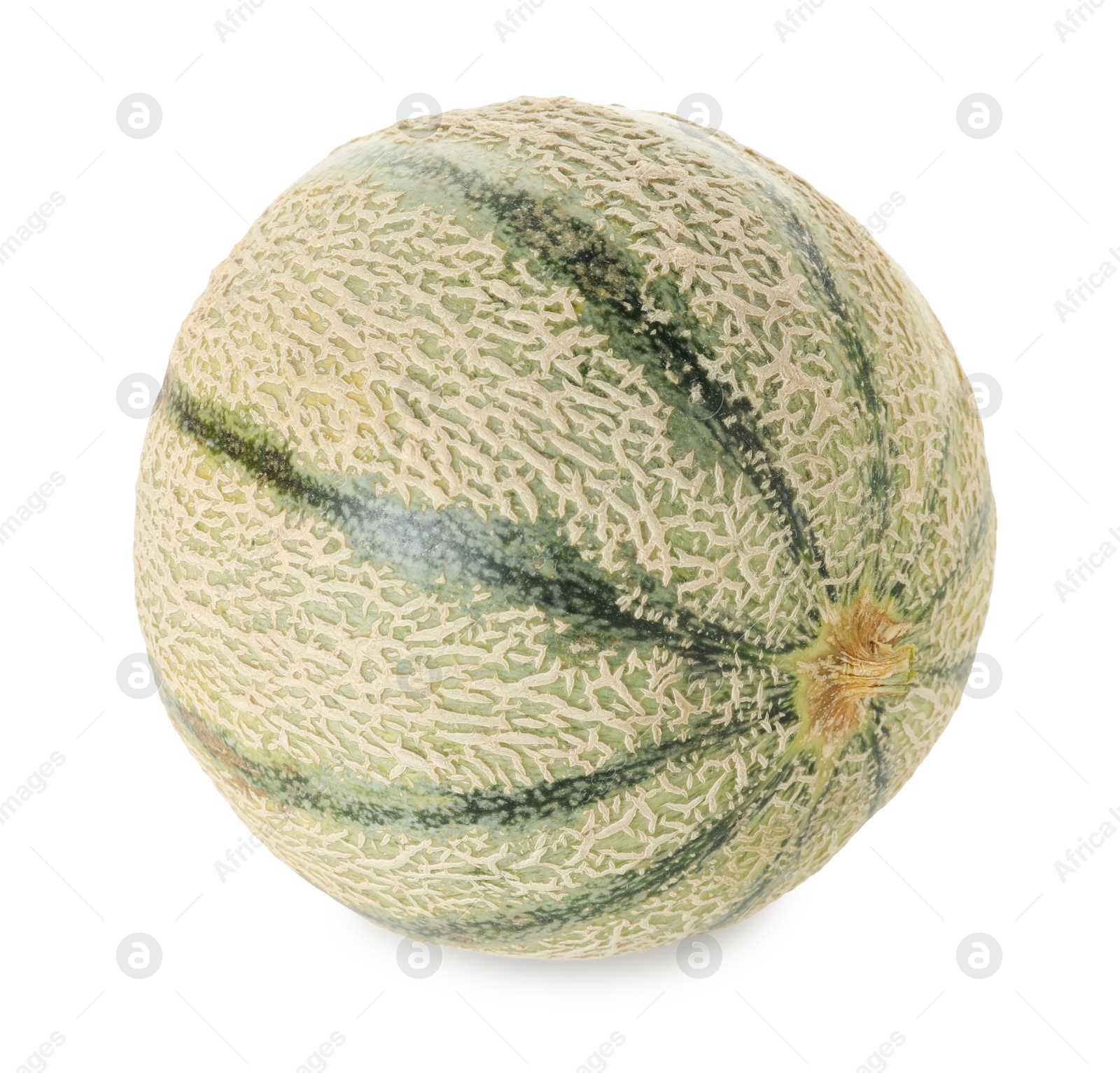 Photo of One whole Cantaloupe melon isolated on white