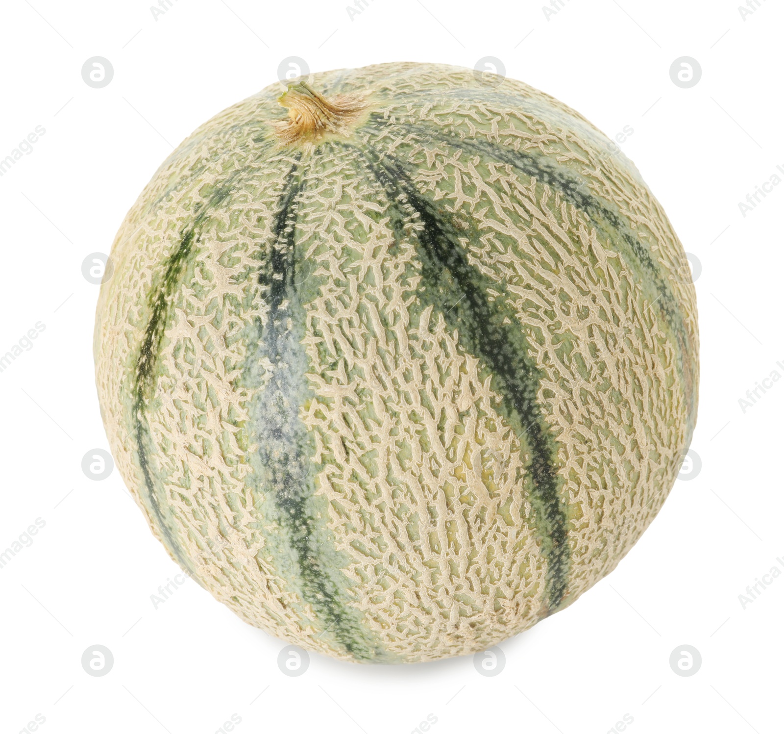 Photo of One whole Cantaloupe melon isolated on white