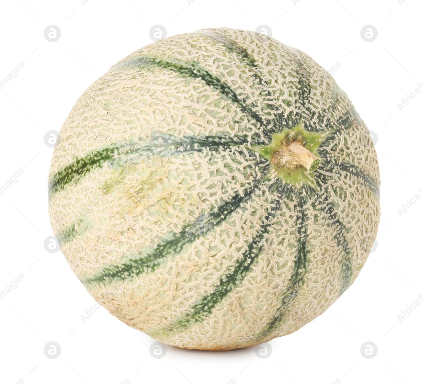 Photo of One whole Cantaloupe melon isolated on white