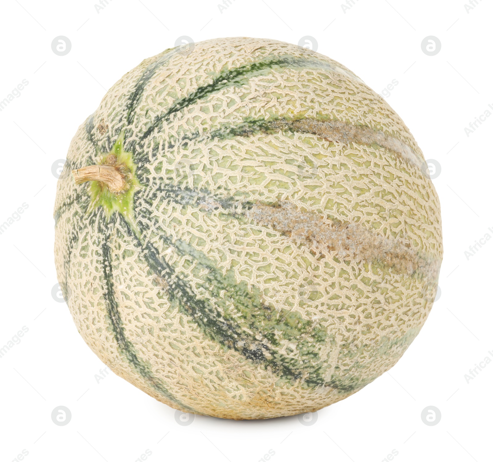 Photo of One whole Cantaloupe melon isolated on white