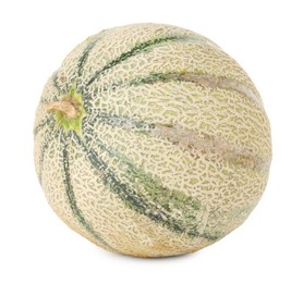 Photo of One whole Cantaloupe melon isolated on white