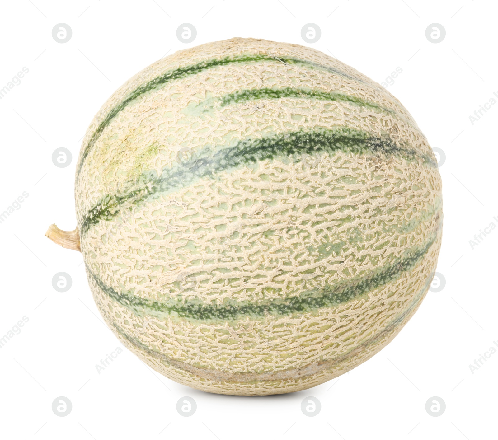 Photo of One whole Cantaloupe melon isolated on white