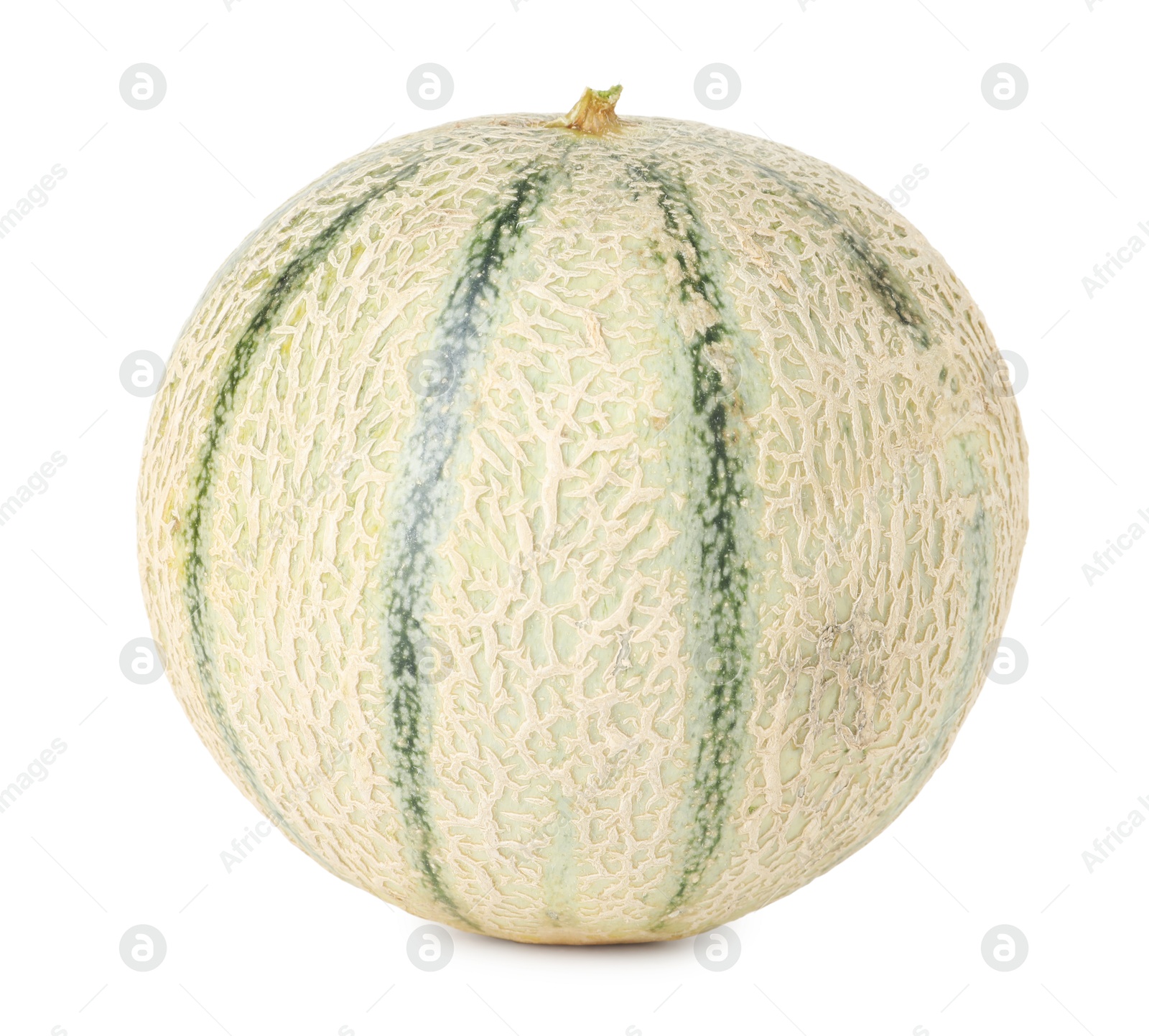 Photo of One whole Cantaloupe melon isolated on white