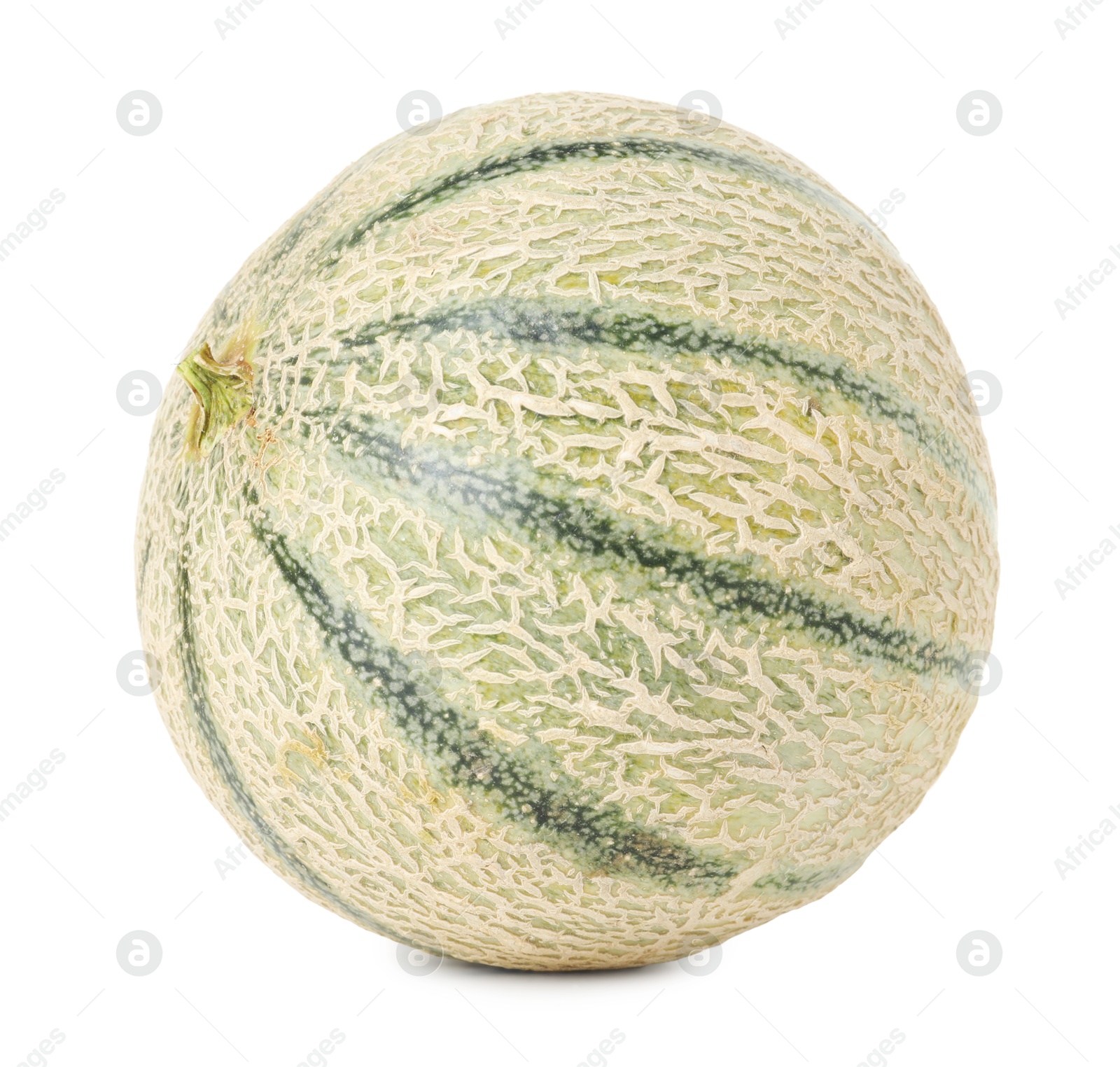 Photo of One whole Cantaloupe melon isolated on white