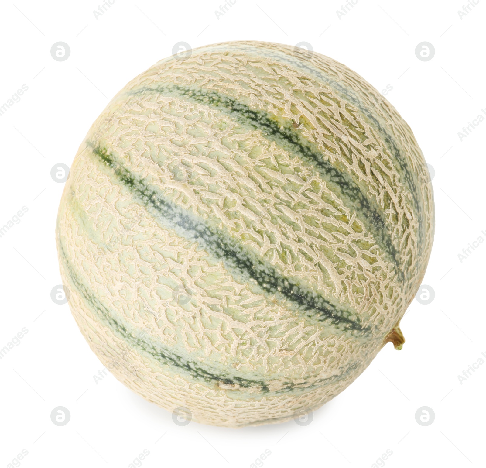 Photo of One whole Cantaloupe melon isolated on white