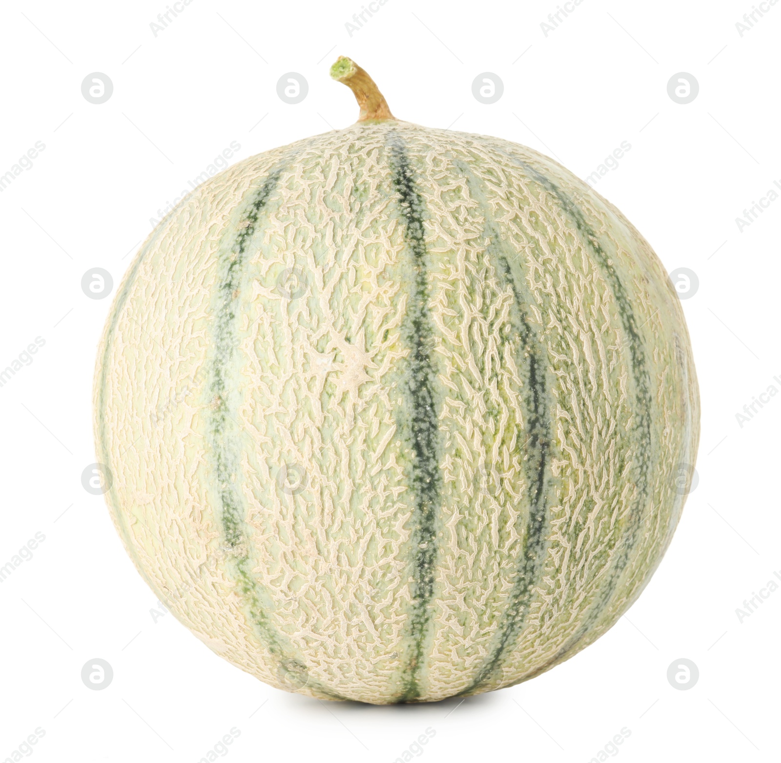 Photo of One whole Cantaloupe melon isolated on white