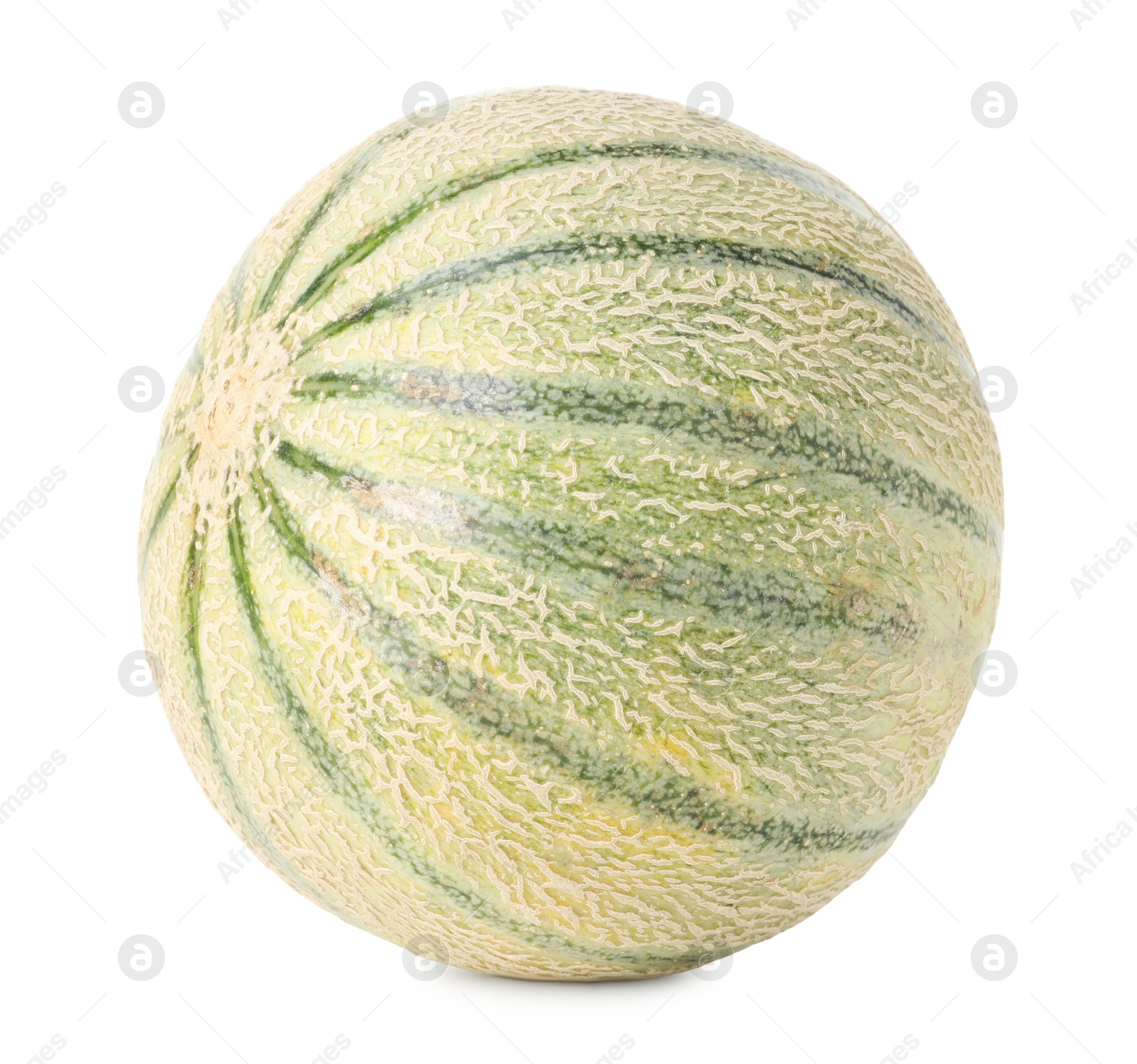 Photo of One whole Cantaloupe melon isolated on white