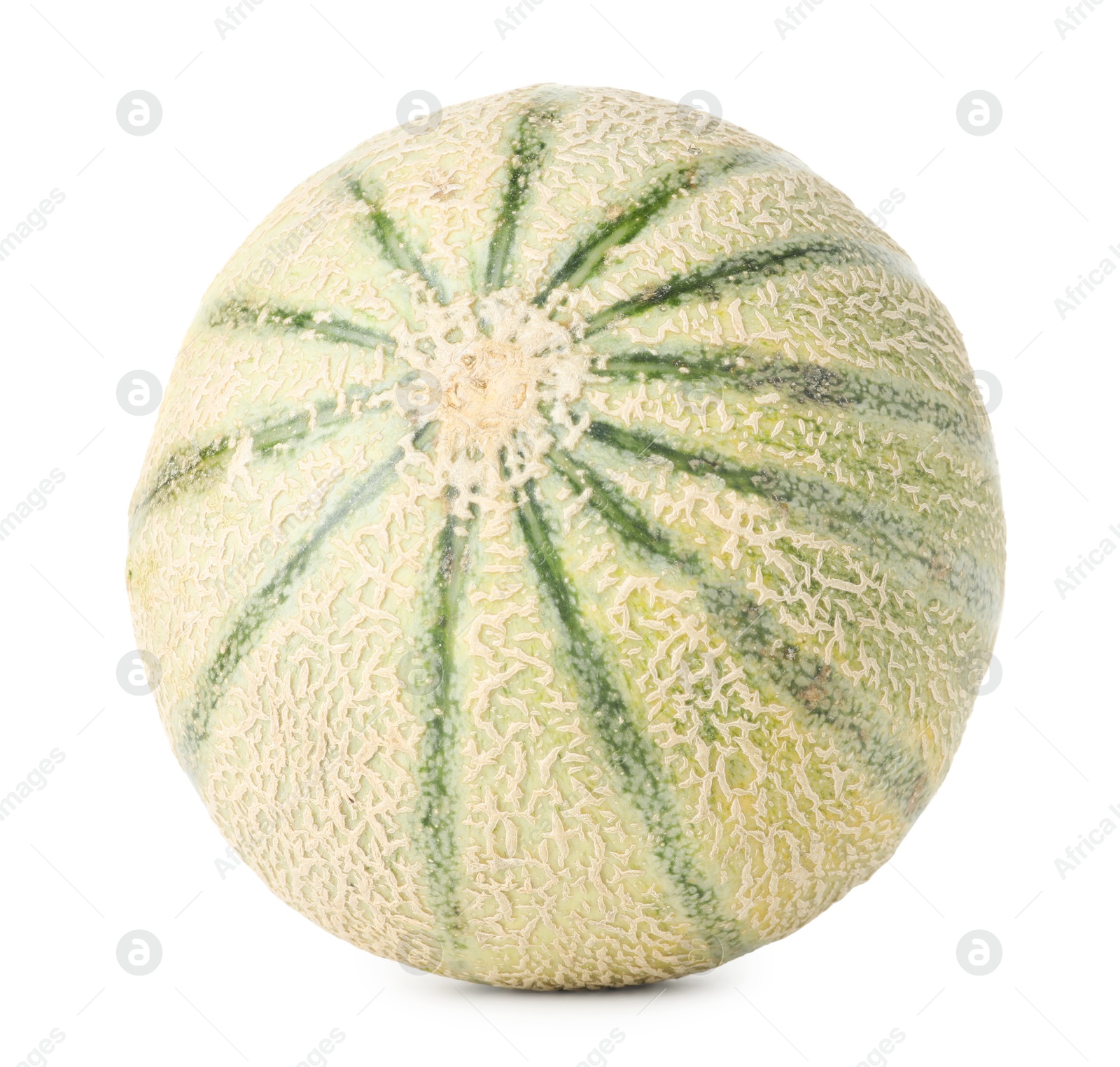 Photo of One whole Cantaloupe melon isolated on white