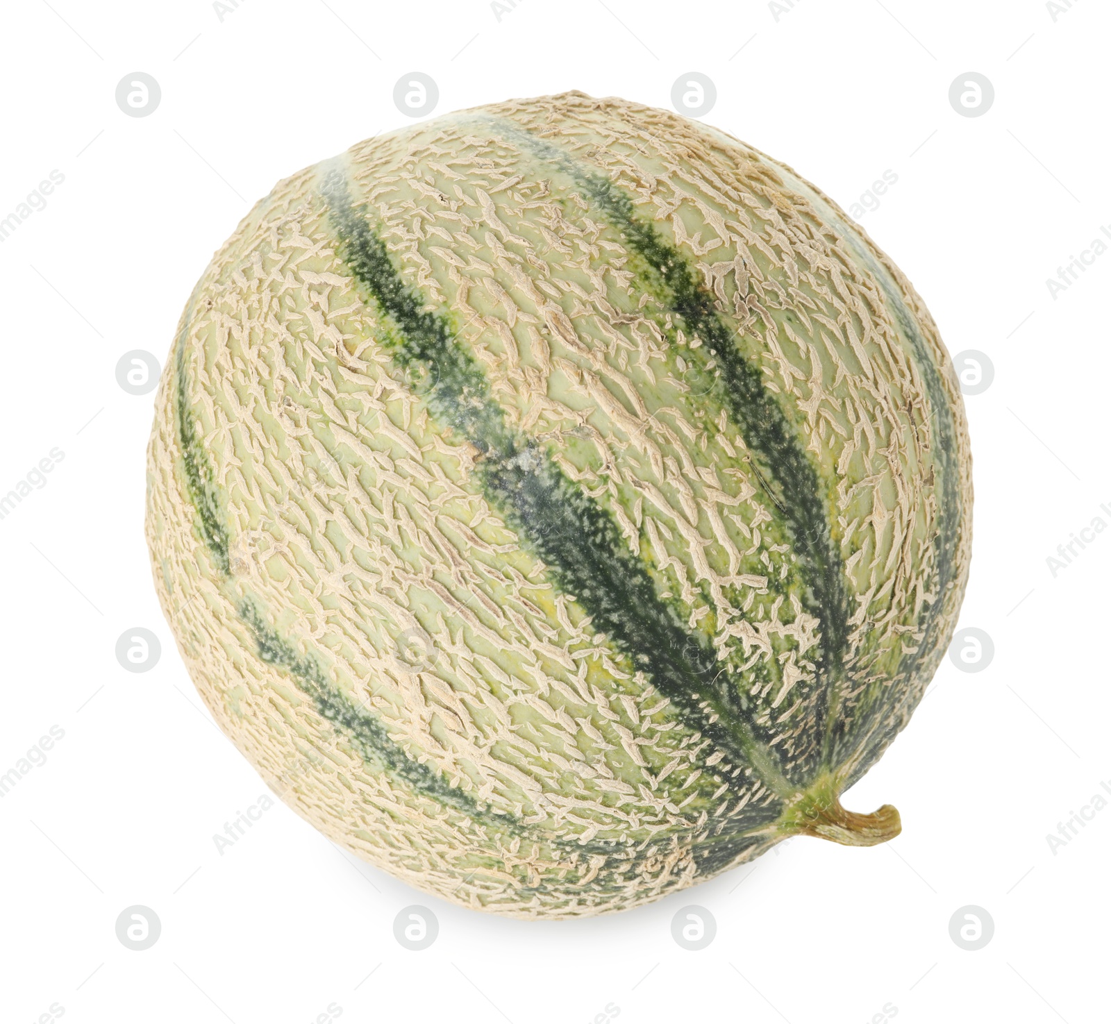 Photo of One whole Cantaloupe melon isolated on white