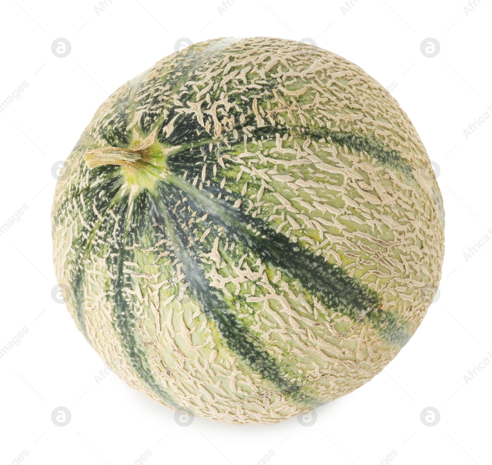 Photo of One whole Cantaloupe melon isolated on white