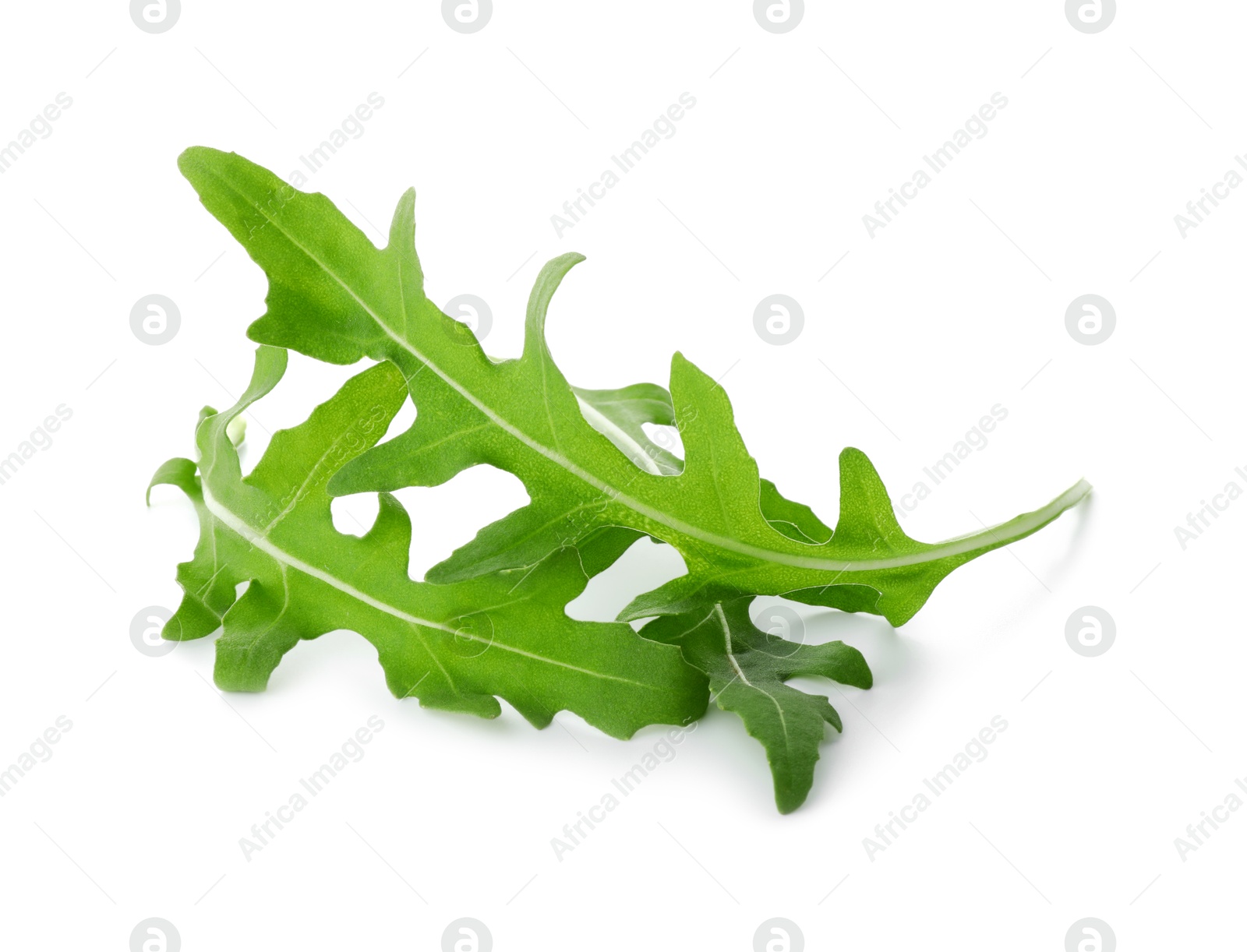 Photo of Many fresh arugula leaves isolated on white