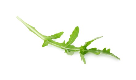 Photo of One fresh arugula leaf isolated on white