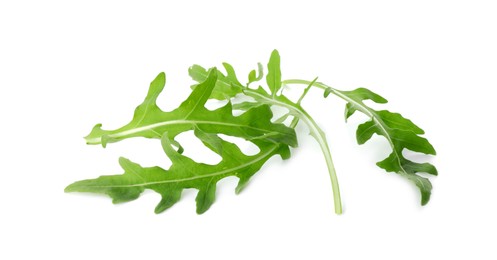 Photo of Many fresh arugula leaves isolated on white