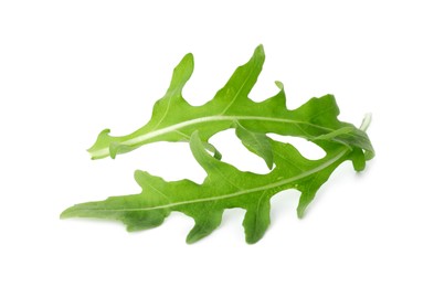 Photo of Two fresh arugula leaves isolated on white