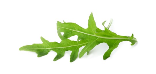 Photo of Two fresh arugula leaves isolated on white