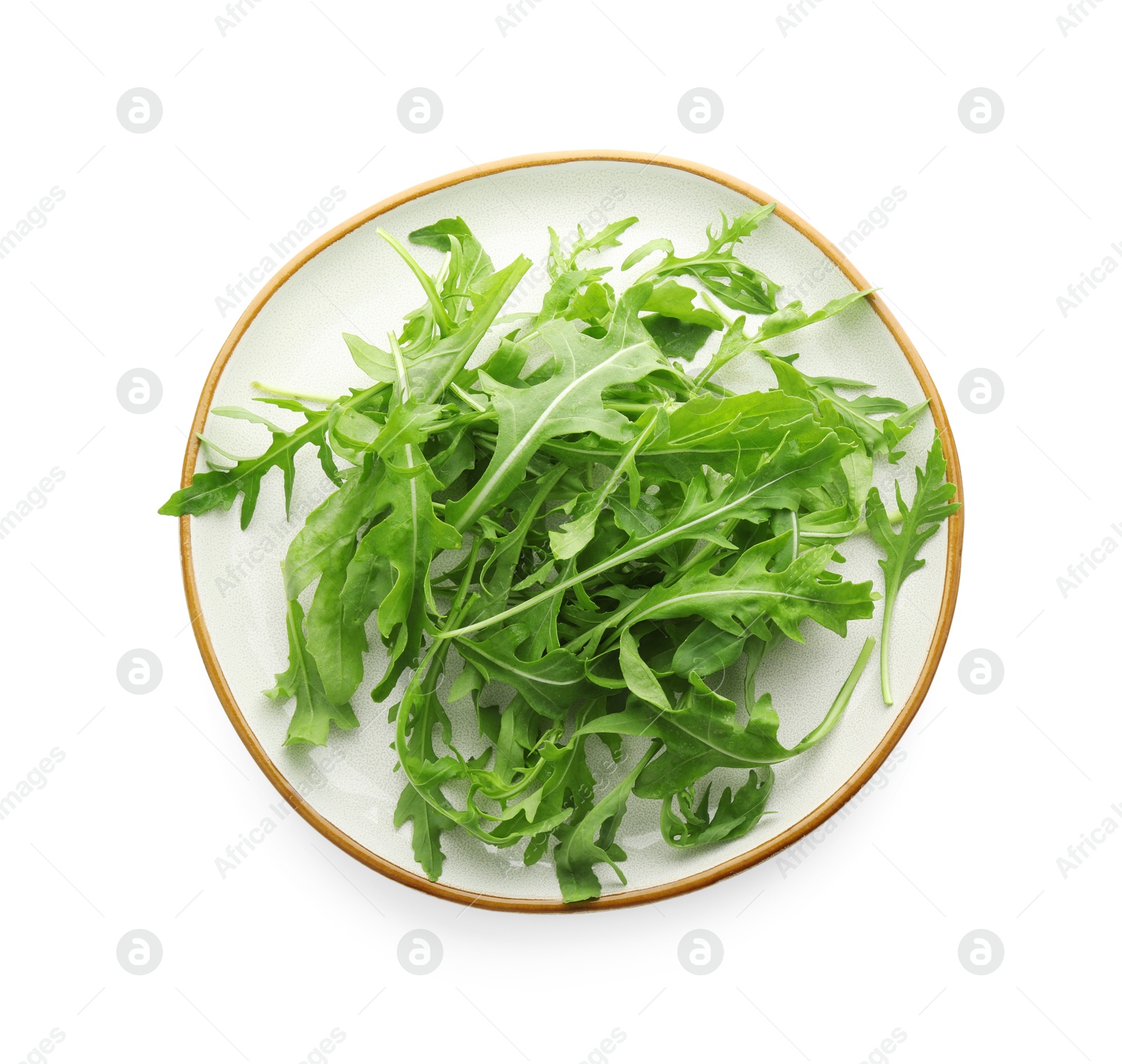 Photo of Plate with fresh arugula leaves isolated on white, top view