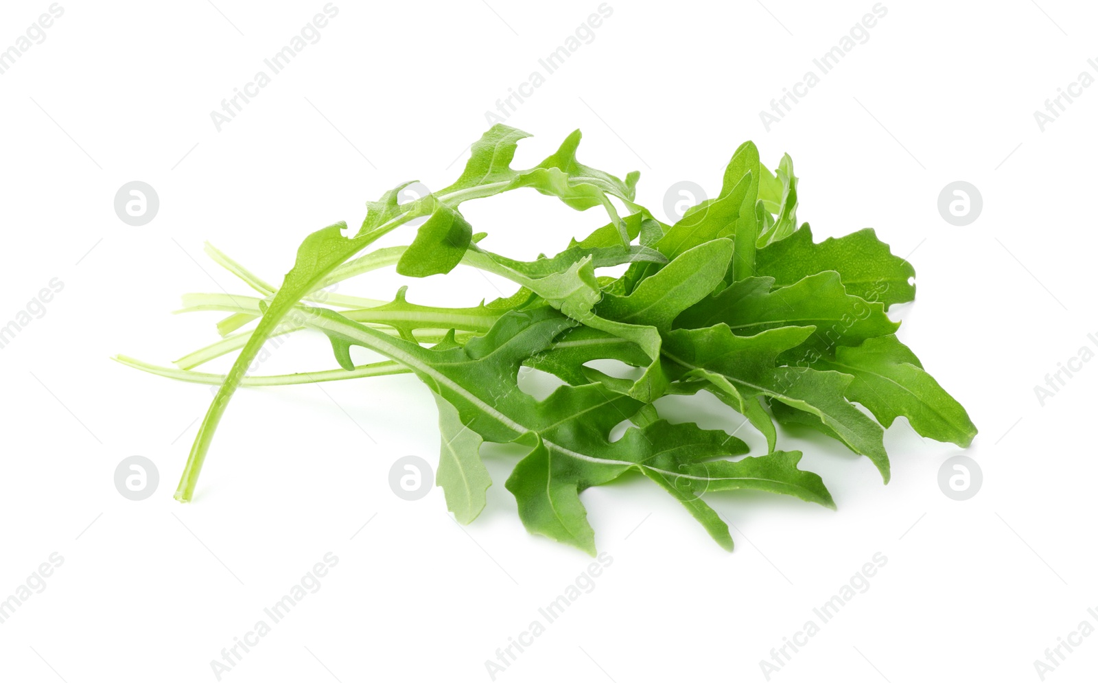 Photo of Many fresh arugula leaves isolated on white