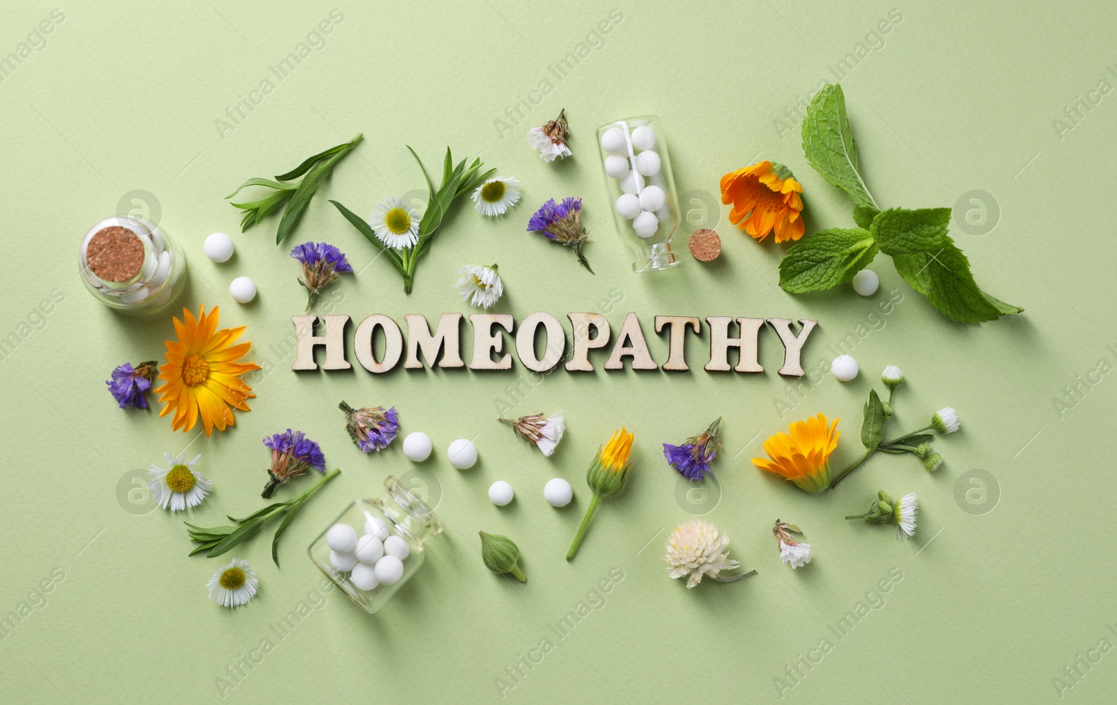 Photo of Word Homeopathy, pills and medicinal herbs on olive background, flat lay