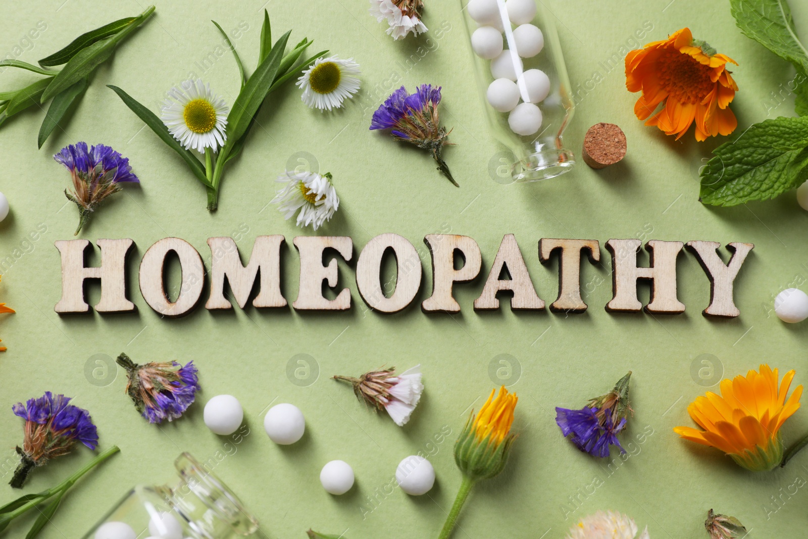 Photo of Word Homeopathy, pills and medicinal herbs on olive background, flat lay