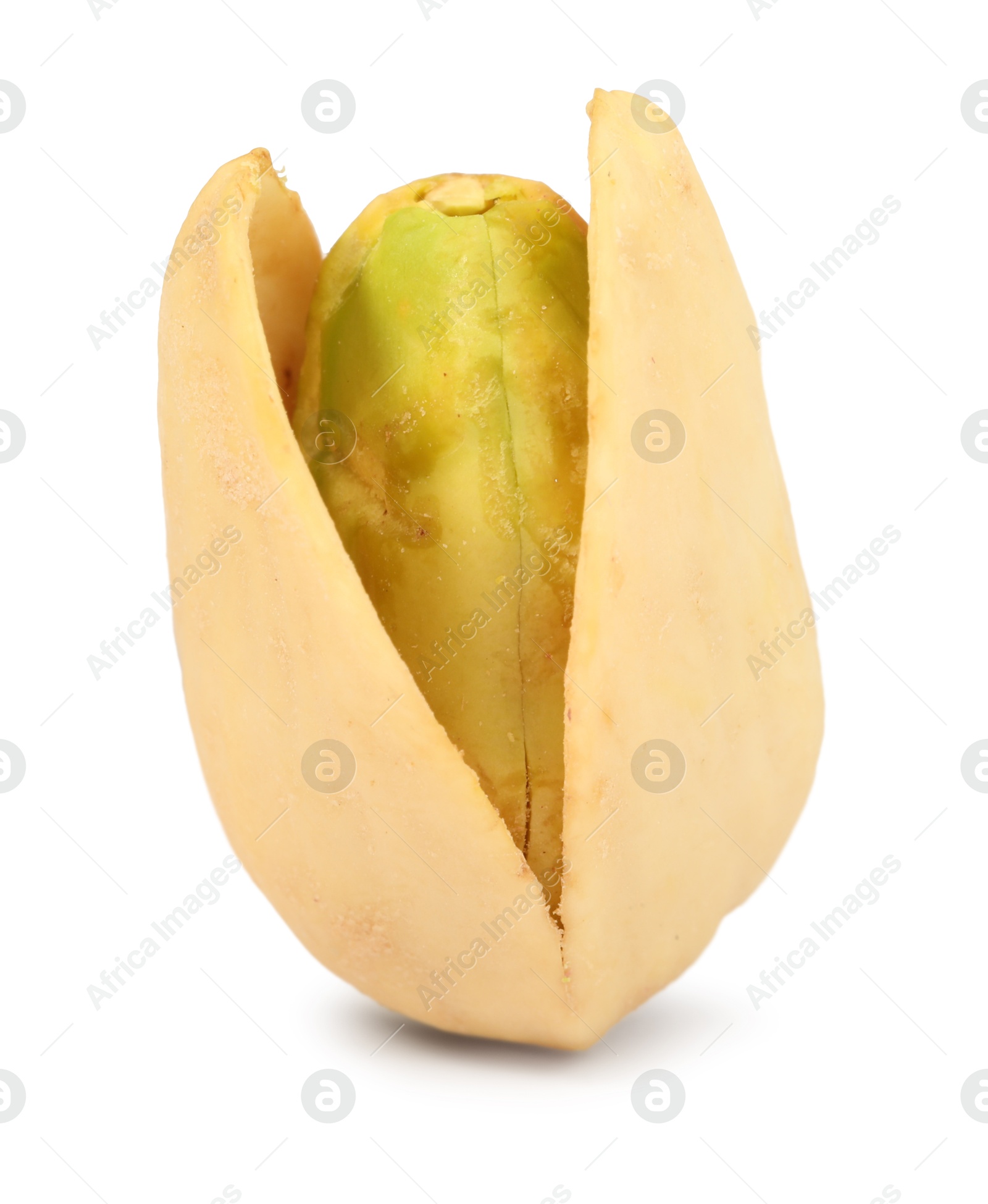 Photo of One tasty pistachio nut isolated on white