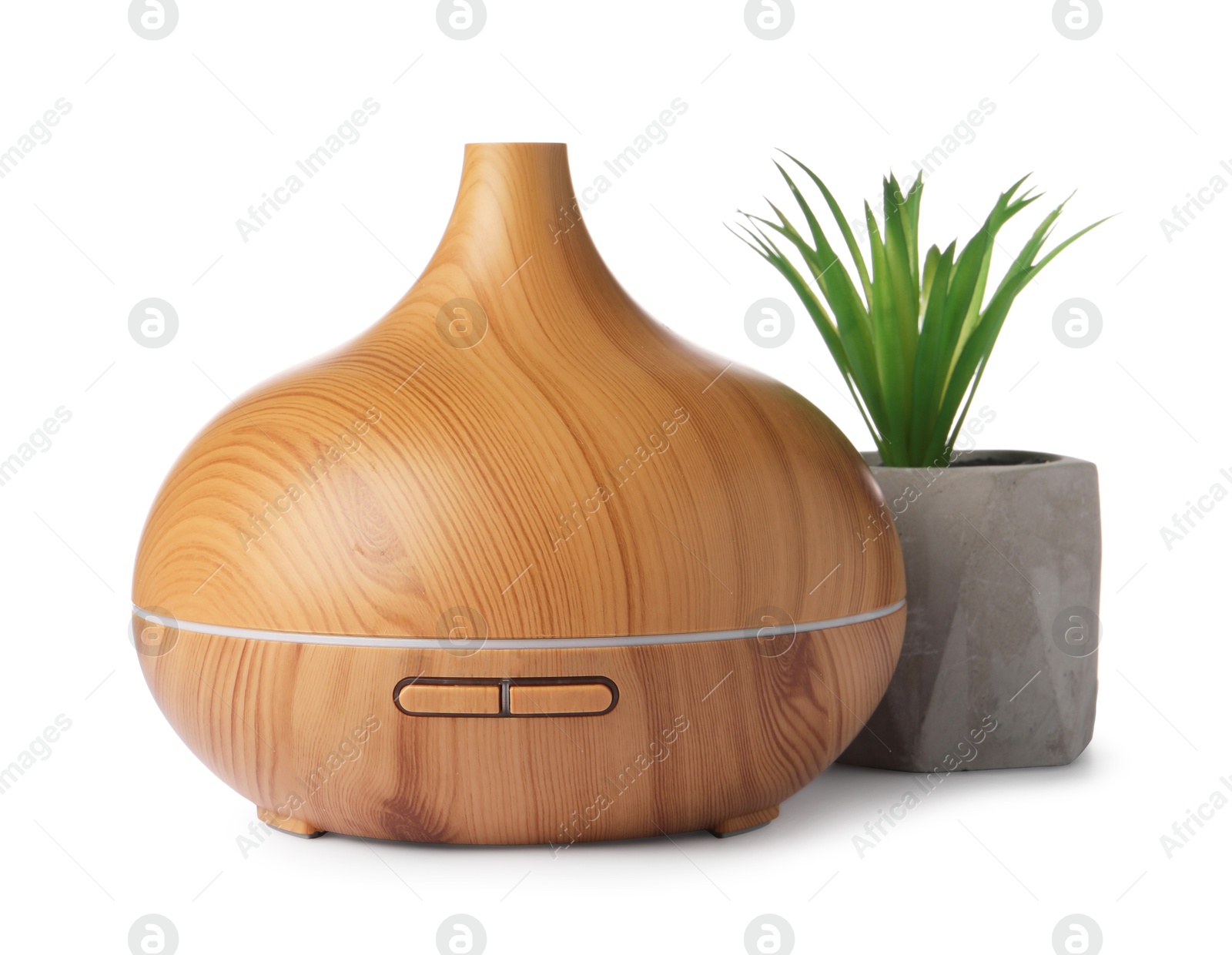 Photo of Aroma oil diffuser and plant isolated on white