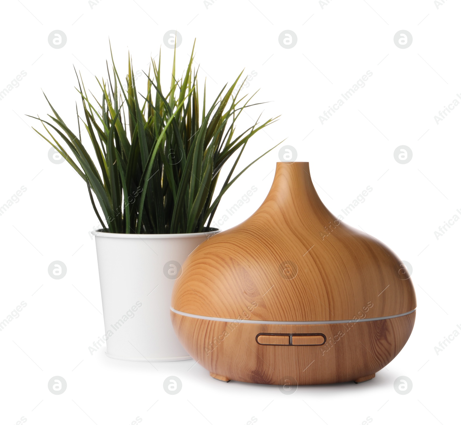 Photo of Aroma oil diffuser and plant isolated on white