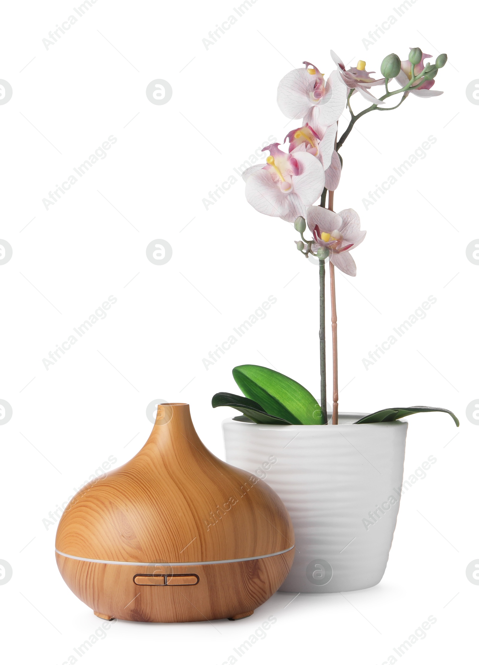 Photo of Aroma oil diffuser and orchid flower isolated on white