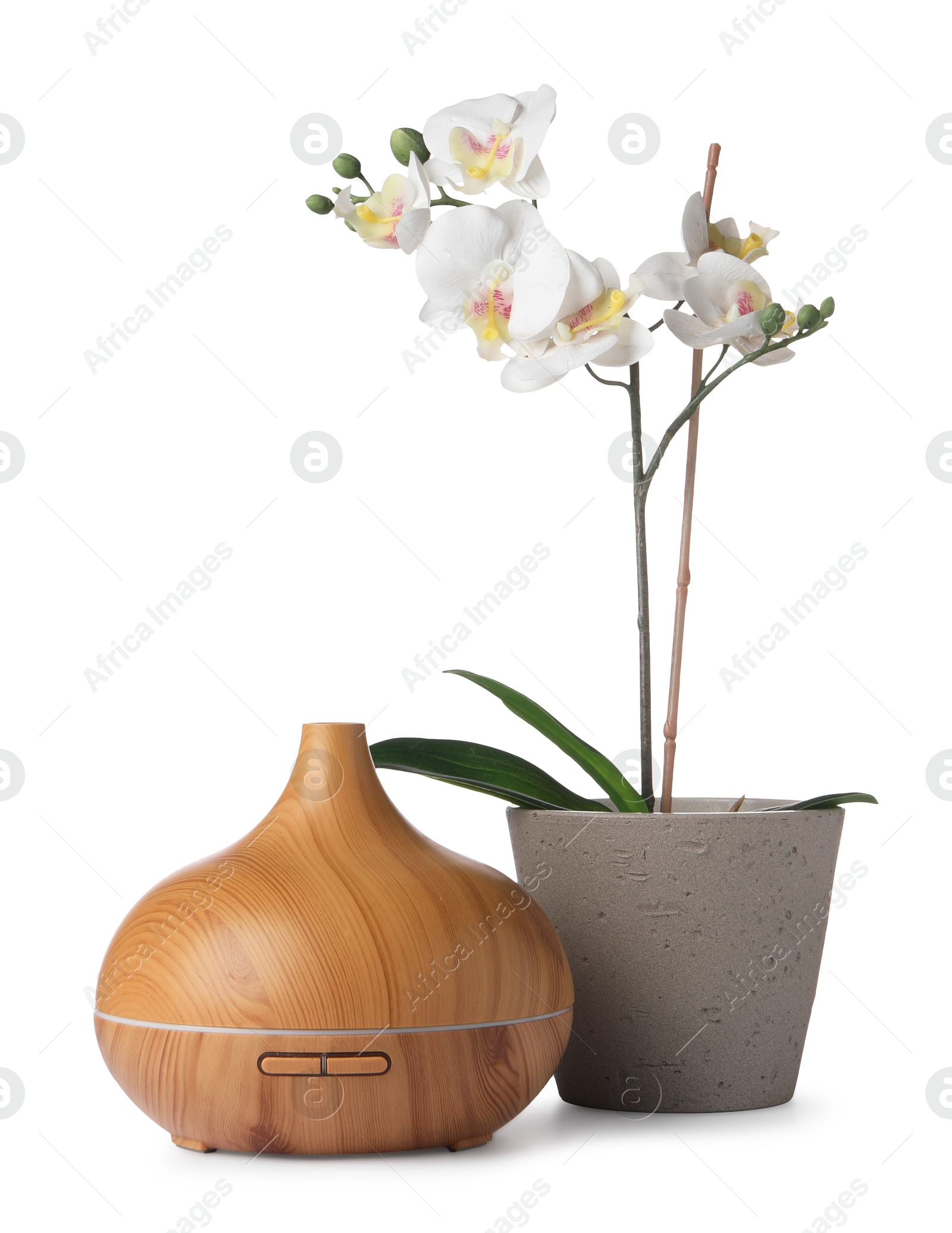 Photo of Aroma oil diffuser and orchid flower isolated on white