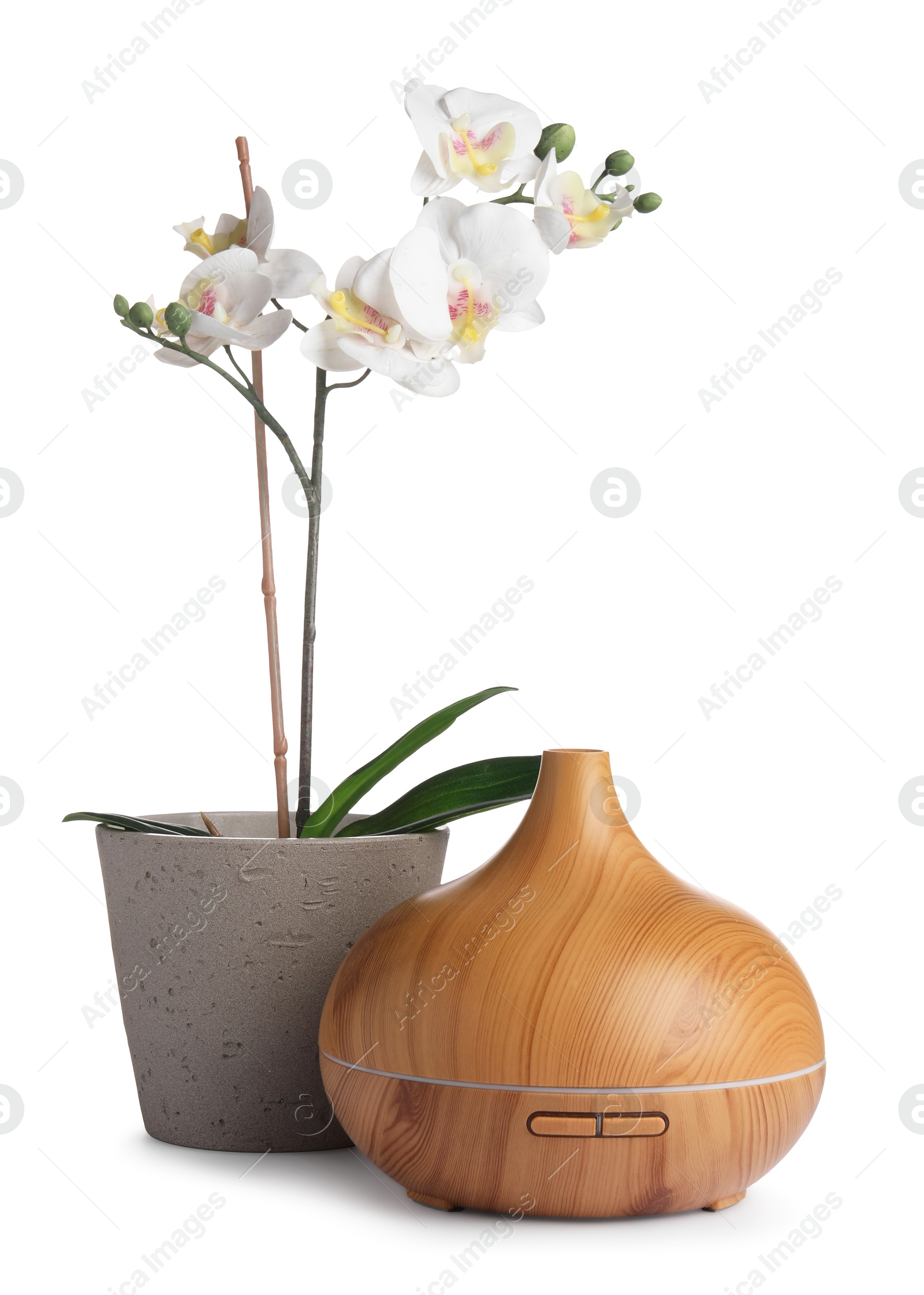 Photo of Aroma oil diffuser and orchid flower isolated on white