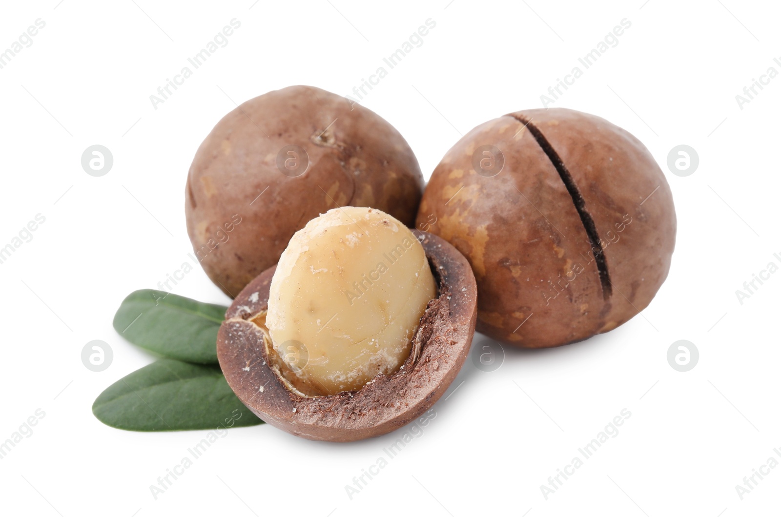 Photo of Macadamia nuts with shells isolated on white