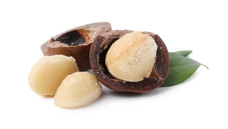 Macadamia nuts with shells isolated on white