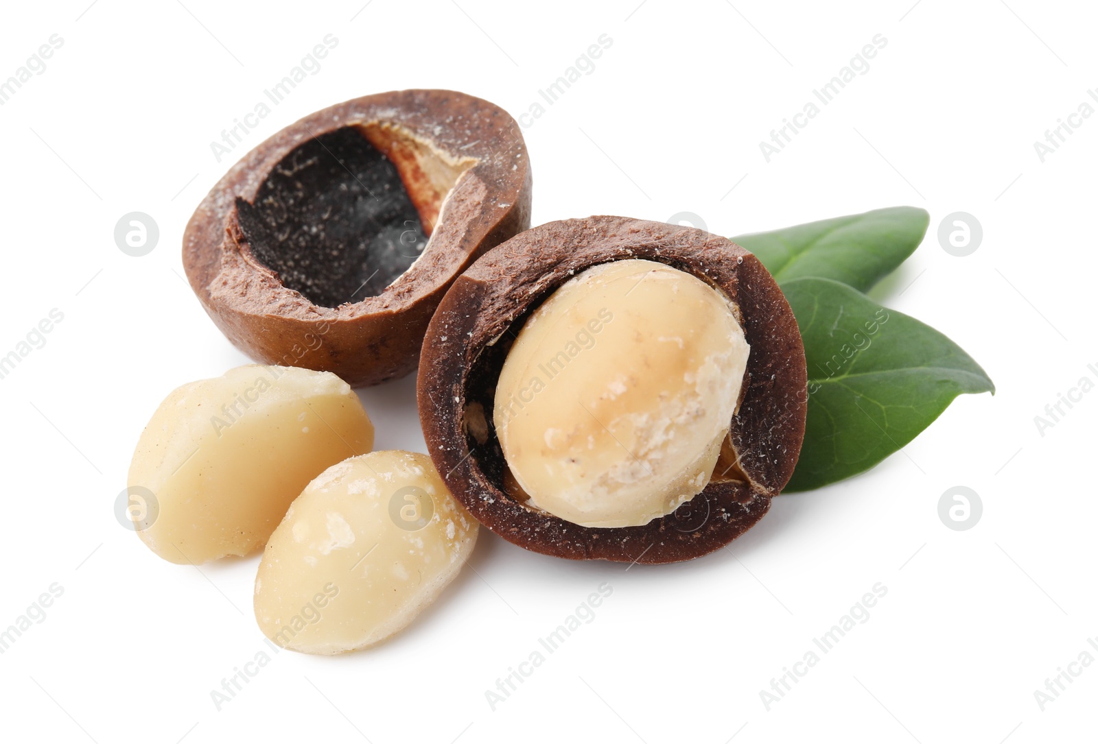 Photo of Macadamia nuts with shells isolated on white