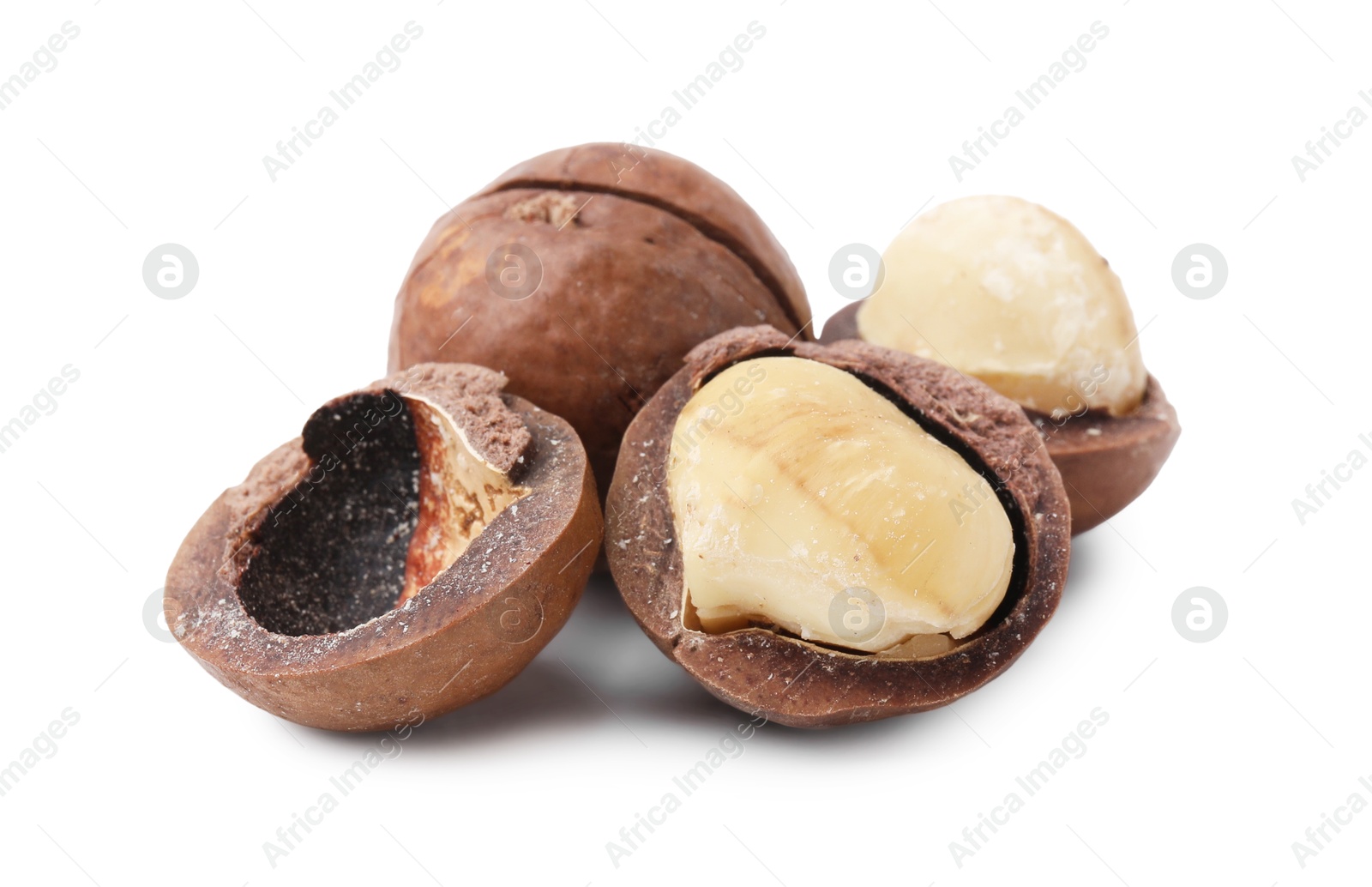 Photo of Macadamia nuts with shells isolated on white