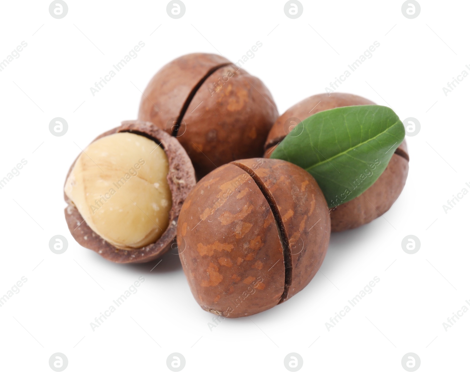 Photo of Macadamia nuts with shells isolated on white