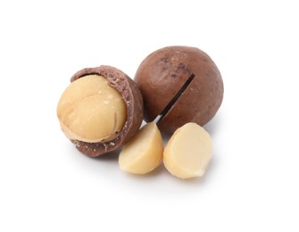 Macadamia nuts with shells isolated on white