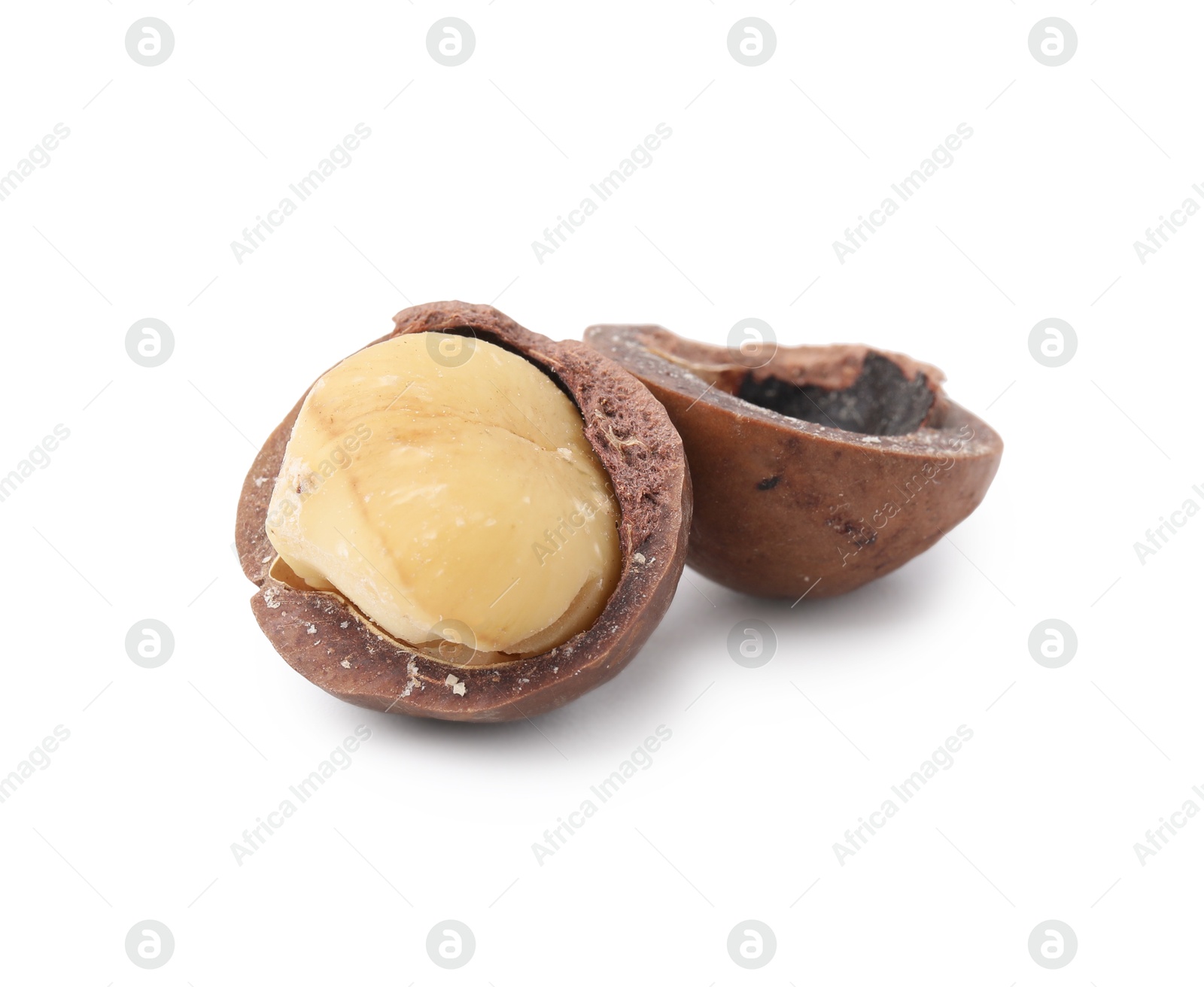 Photo of Macadamia nut with shell isolated on white