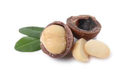 Macadamia nuts with shells isolated on white