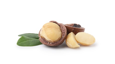 Macadamia nuts with shells isolated on white