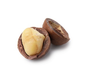 Photo of Macadamia nut with shell isolated on white