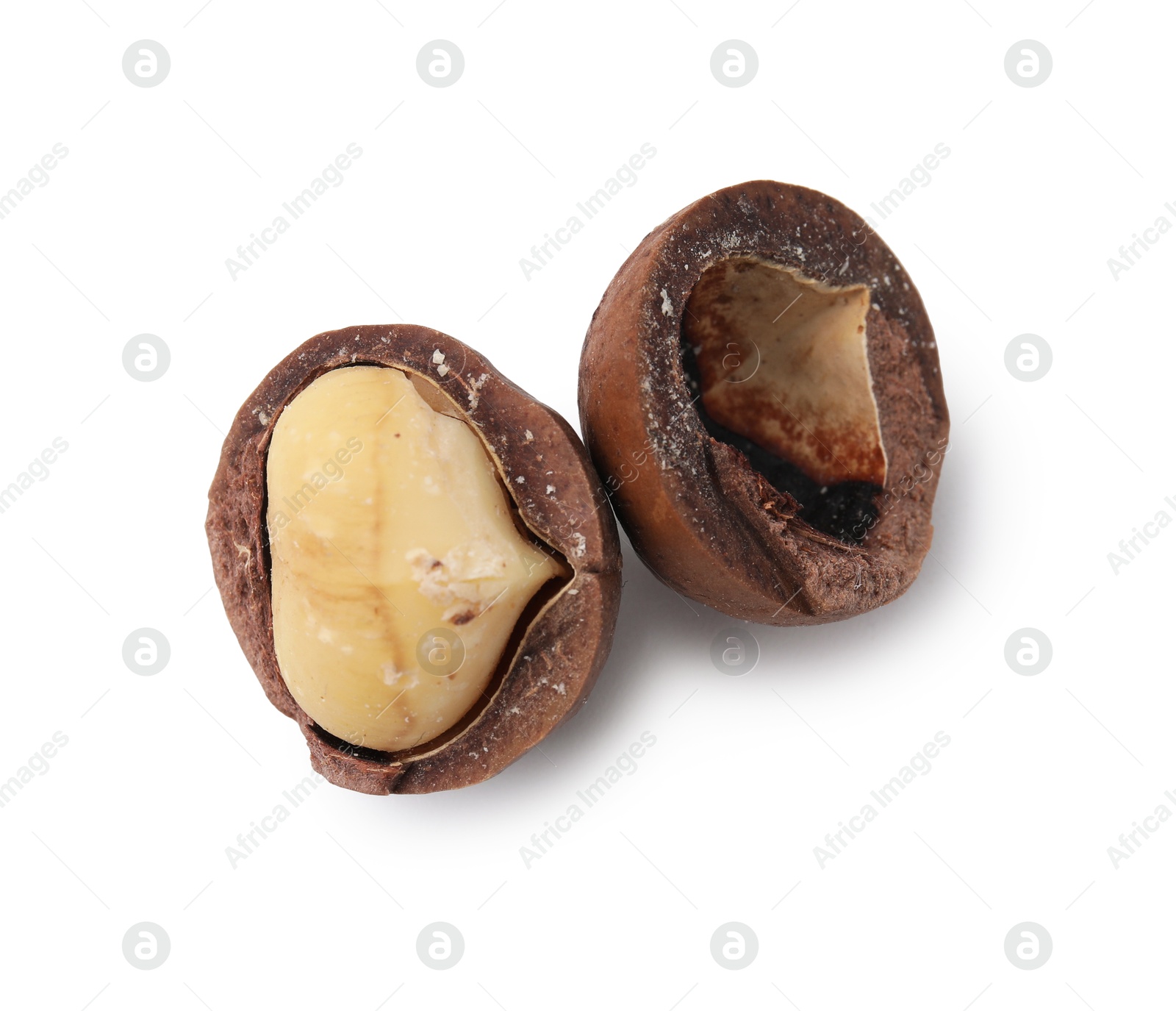 Photo of Macadamia nut with shell isolated on white, top view