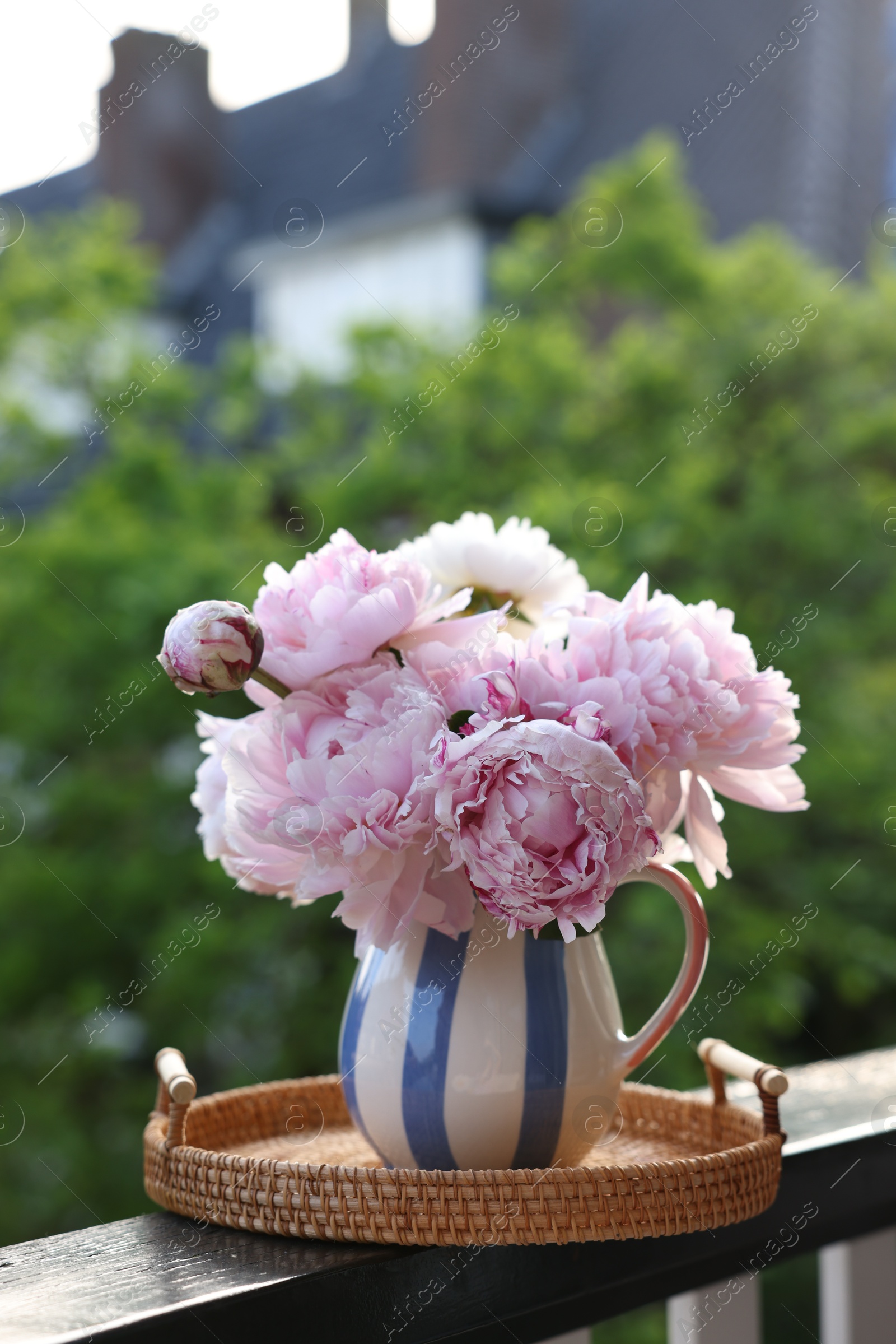 Photo of Beautiful pink peony flowers in vase on balcony railing outdoors