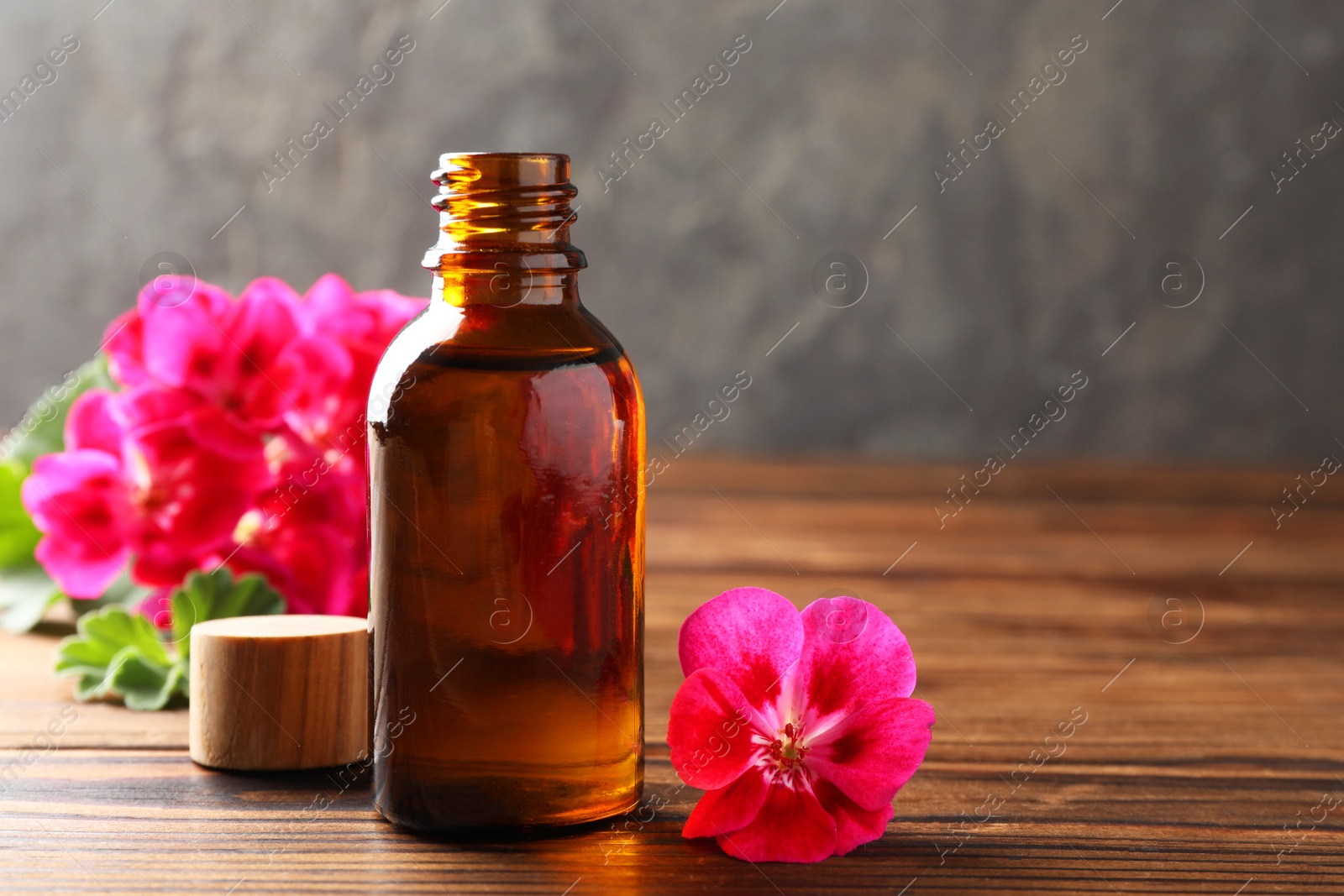 Photo of Geranium essential oil in bottle and beautiful flowers on wooden table, space for text