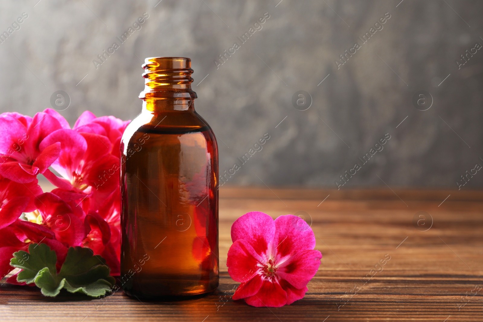 Photo of Geranium essential oil in bottle and beautiful flowers on wooden table, space for text