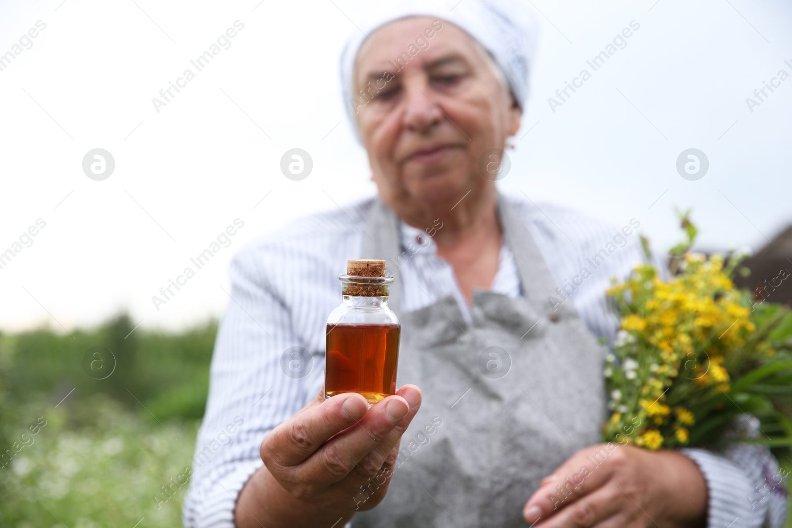 Photo of Senior woman with tincture and herbs outdoors, selective focus