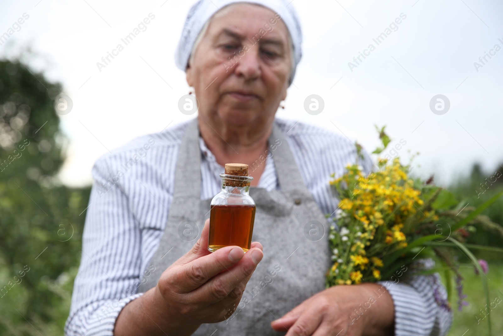 Photo of Senior woman with tincture and herbs outdoors, selective focus