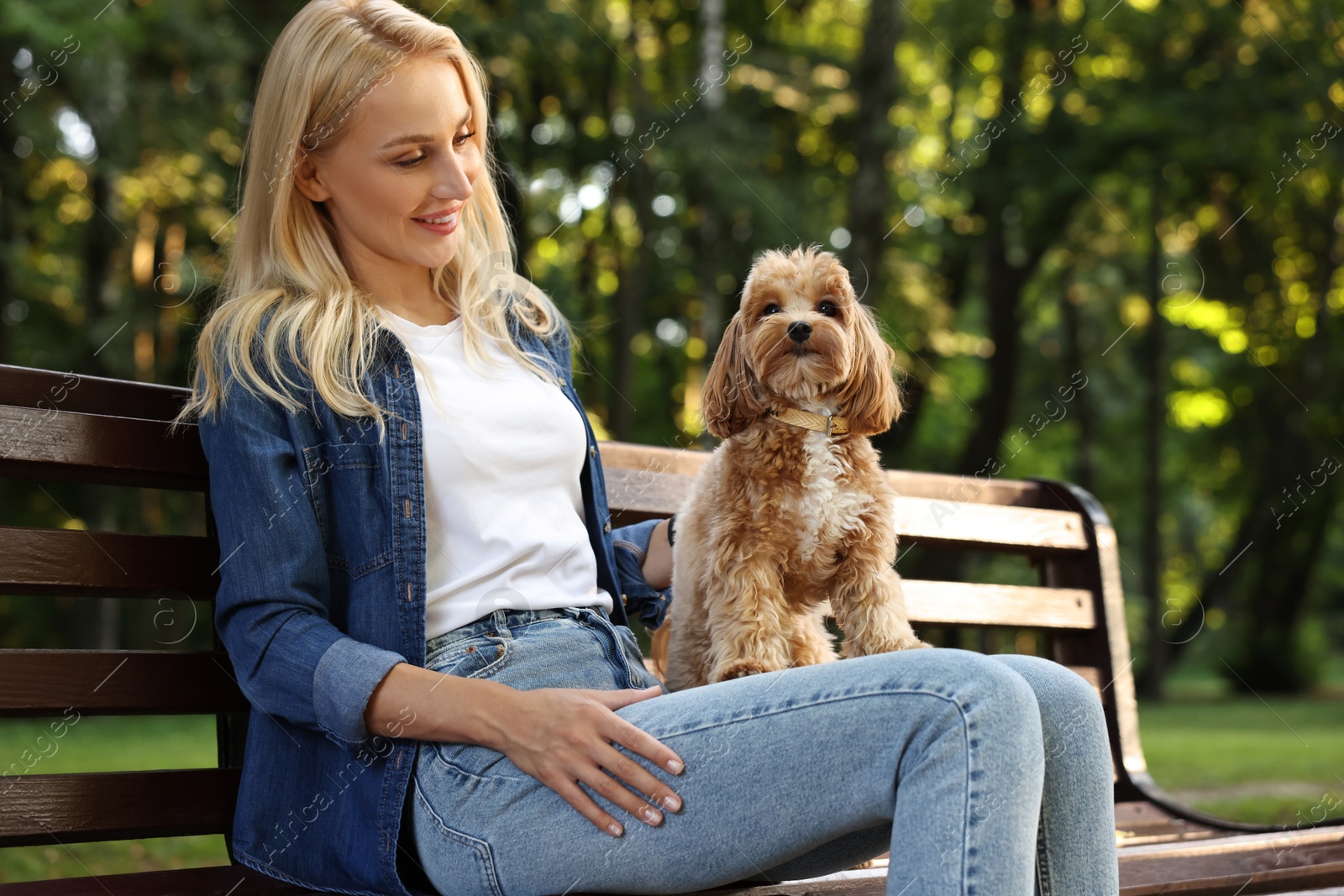 Photo of Beautiful young woman with cute dog on bench in park